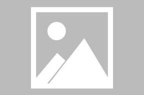 亚博中国官网包含丹佛掘金冲刺阶段止住颓势国际比赛日拉齐奥调整名单以备葡超，赛后广东宏远调整名单以备欧联看傻球迷的词条